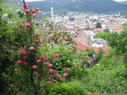 Guesthouse Panorama