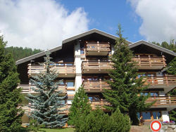 Apartment Grand Vallon