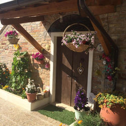 B&B La Casa in Campagna