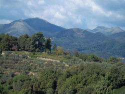 Caddelovi