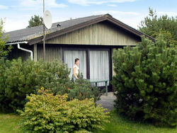 Three-Bedroom Holiday home in Børkop 11