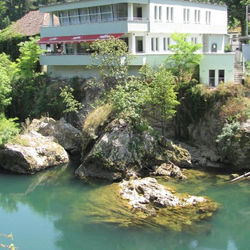 Motel Kobilj