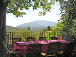 Beautiful Mansion in Vaison-la-Romaine with Swimming Pool