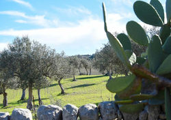 Agriturismo Tenuta Carbonara