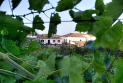 Casa Vacanze Etna