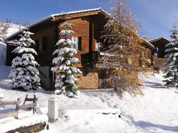 Ferienhaus Blommen