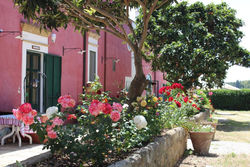 Tenuta Santa Rosa