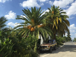 Cortijo La Huerta