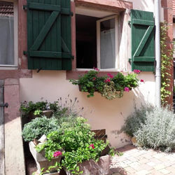 charmant petit appartement en Alsace