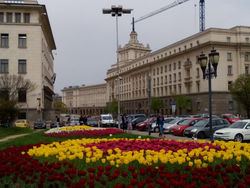 Central City Rooms