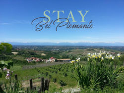 Affittacamere Stay Bel Piemonte