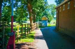 Stableside at York Racecourse