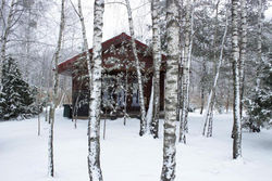 Cozy remote cabin on a lakeshore