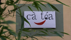 Cà toa