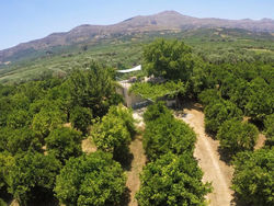 Farm House in Bio Οrange Plantation