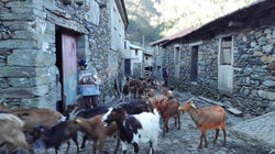 Casa Bernaldo