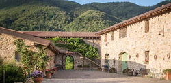 Agriturismo Podere Conti