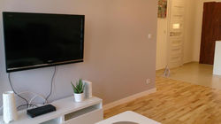 1 Bedroom Francuska Park Apartment