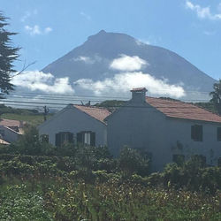 Home Pico - Casa dos Cedros (Alojamento local)