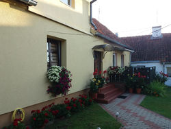 Apartament Wiki