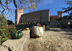 Castello di Valenzano