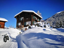 Chalet Bosbes