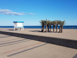 Les Cigales