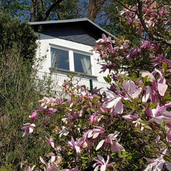 Das Ferienhaus mit Aussicht