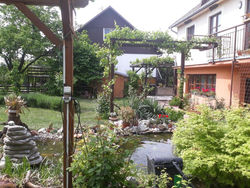 Pension Zelený strom