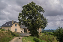 Pesaulhé