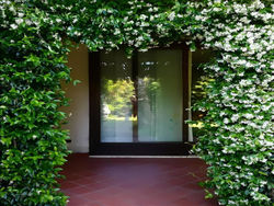 Casa delle Palme