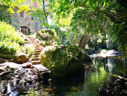 El moli del montseny