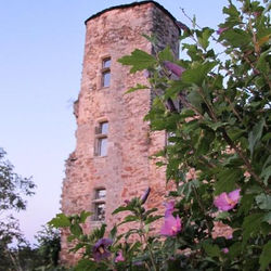 Maison du Sénéchal