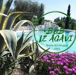 B&B LE AGAVI