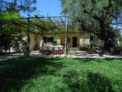 TheNi Olive Grove Villa