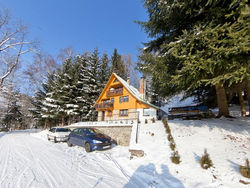 Luxury Chalet near Ski area in Benecko