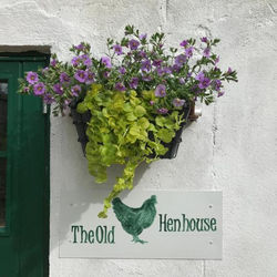 The Old Henhouse