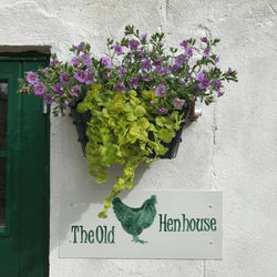 The Old Henhouse