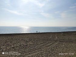 Adelfas Mar