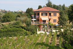 Villa I Due Padroni - Apartment Loggione