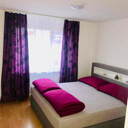 3 Room Premium Apartment Buchs SG