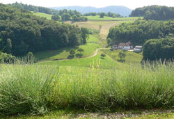 Gîte la Sapinière