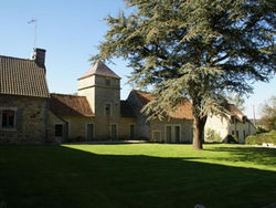 Rural Cottage in Wierre-Effroy surrounded by Fruit Trees