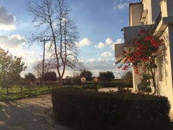 Swan House Panoramic View - Near the sea