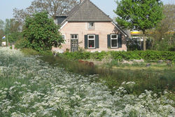 Bed and Garden Alde Coninckshof