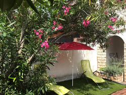 Summer House Oleander