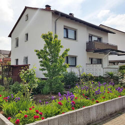 urige gemütliche Ferienwohnung 64 m2 in Dielheim, Nähe Heidelberg