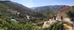 Quinta das Fontainhas - Douro Valley