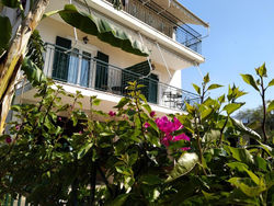 Rosegarden
