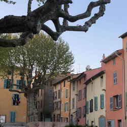 L'oiseau vert appartement de charme au coeur de la Provence